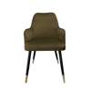 Brown upholstered PEGAZ chair material MG-05 with golden leg
